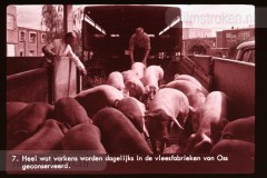 Noord-Brabant Noord-Brabant