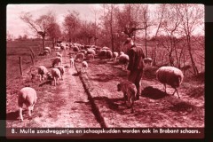 Noord-Brabant Noord-Brabant
