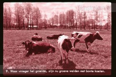 Noord-Brabant Noord-Brabant