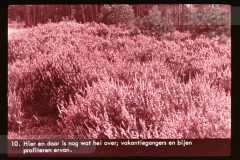 Noord-Brabant Noord-Brabant
