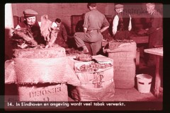 Noord-Brabant Noord-Brabant