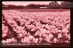 Noord-Holland Noord-Holland