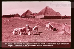 Noord-Holland Noord-Holland