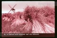 Zeeland Zeeland
