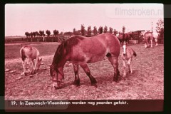 Zeeland Zeeland