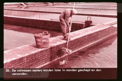 Zeeland Zeeland