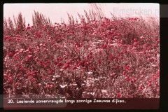 Zeeland Zeeland