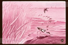 Het Vrouwtje van Stavoren Het Vrouwtje van Stavoren