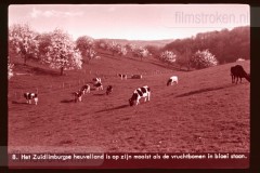 Limburg Limburg