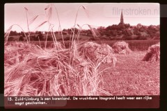 Limburg Limburg