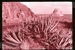 Langs de Middellandse Zee