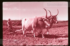 Langs de Middellandse Zee