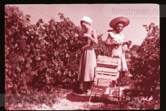 Langs de Middellandse Zee