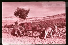 Langs de Middellandse Zee