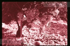 Langs de Middellandse Zee