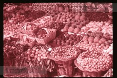 Langs de Middellandse Zee