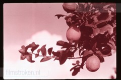 Langs de Middellandse Zee