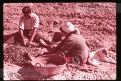 Langs de Middellandse Zee