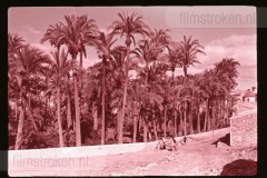 Langs de Middellandse Zee