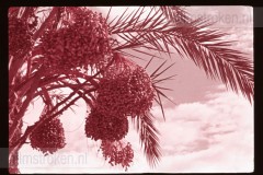 Langs de Middellandse Zee