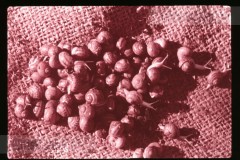 Langs de Middellandse Zee