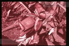 Langs de Middellandse Zee