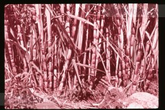 Langs de Middellandse Zee