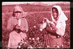 Langs de Middellandse Zee