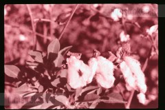 Langs de Middellandse Zee