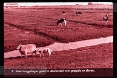 Laag-Nederland I Laag-Nederland I