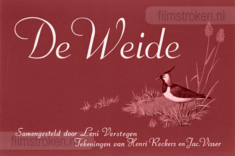 De Weide De Weide