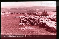 Europa: De Grond, Waarop Wij Wonen