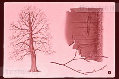 Winter Winter