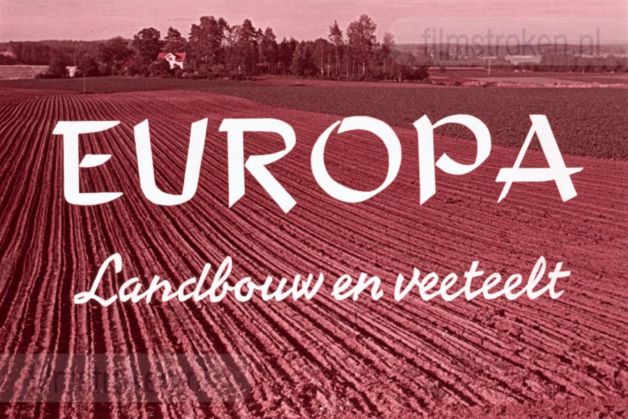 Europa: Hoog en Laag Europa: Hoog en Laag
