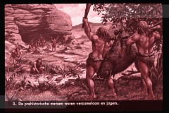 Europa: Landbouw en Veeteelt