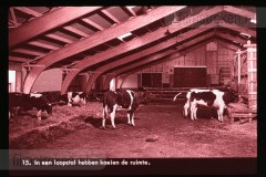 Europa: Landbouw en Veeteelt