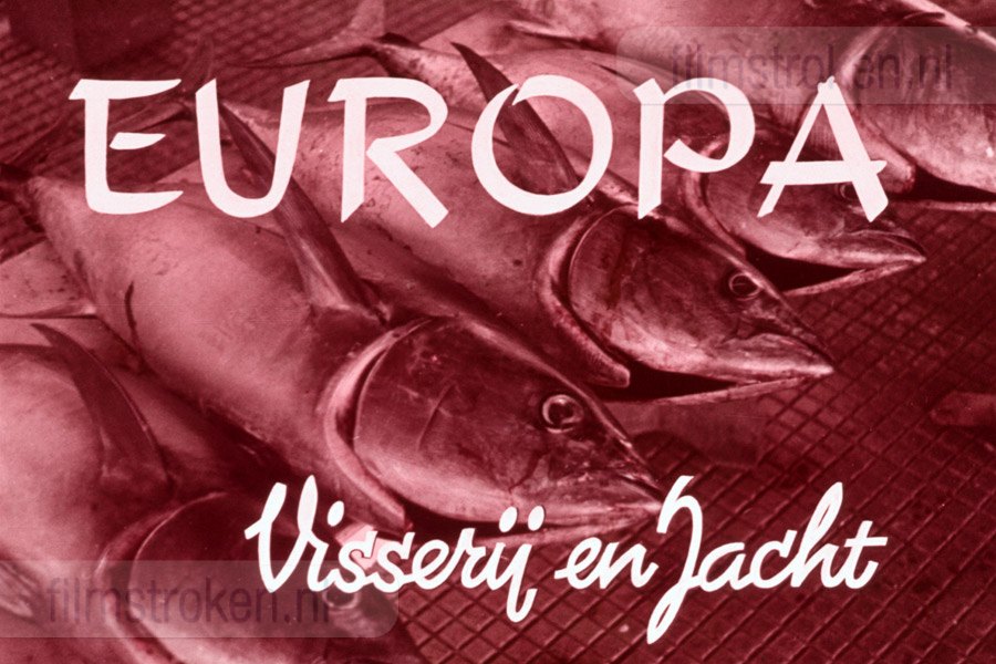 Europa: Visserij en Jacht Europa: Visserij en Jacht