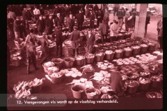 Europa: Visserij en Jacht