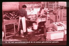 Europa: Visserij en Jacht