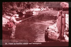 Europa: Visserij en Jacht