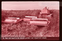 Onze Twaalfde Provincie II