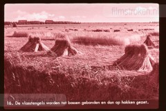 Onze Twaalfde Provincie II