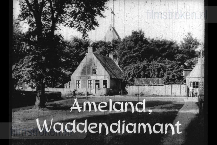 Opgeweld uit Wier en Zand 5 Opgeweld uit Wier en Zand 5