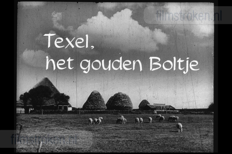 Opgeweld uit Wier en Zand 3 Opgeweld uit Wier en Zand 3