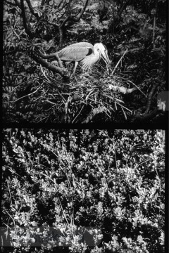 Opgeweld uit Wier en Zand 2