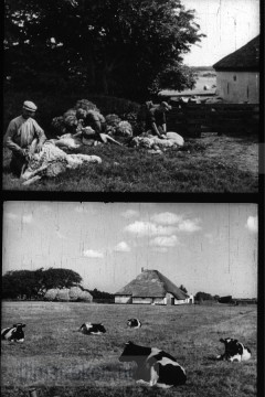 Opgeweld uit Wier en Zand 3