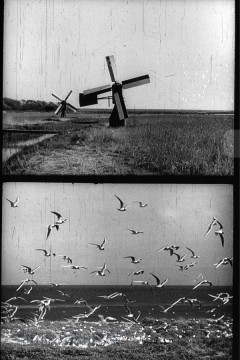 Opgeweld uit Wier en Zand 3