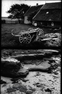 Opgeweld uit Wier en Zand 4