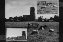 Jeugdfototips II Jeugdfototips II