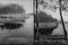 Jeugdfototips II Jeugdfototips II